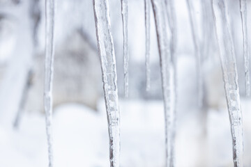 Icicles with houses on blurred background