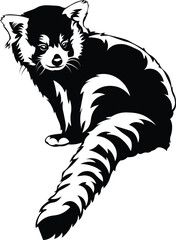 Cartoon Black and White Isolated Illustration Vector Of A Red Panda Sitting Down Looking Backwards
