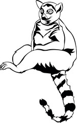 Cartoon Black and White Isolated Illustration Vector Of A Lemur Monkey Sitting Down