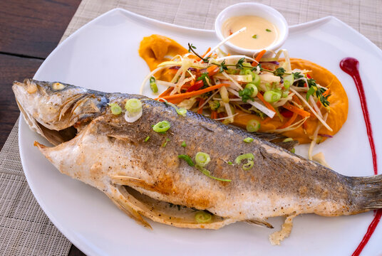 Grilled Fresh Sea Bass Served with Vegetable Salad on a Bed of Pureed Sweet Potatoes and on a White Plate Decorated with Raspberry Coulis