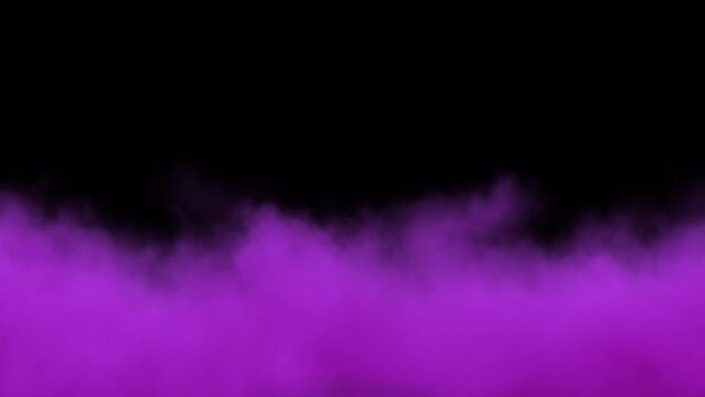 Half Smoke Screen.
A burst of purple smoke in soft focus along the bottom of the frame on a transparent background.