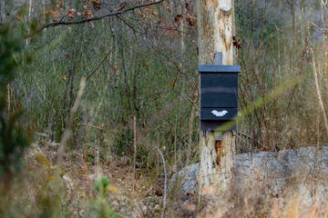 A black wooden bat box hangs from a tree in the forest to provide shelter for bats
