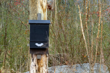 A black wooden bat box hangs from a tree in the forest to provide shelter for bats

