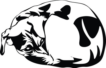 Cartoon Black and White Isolated Illustration Vector Of A Pet Puppy Dog Sleeping Curled Up