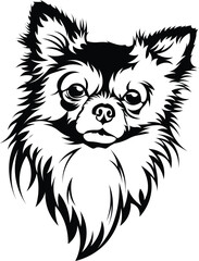 Cartoon Black and White Isolated Illustration Vector Of A Pet Chihuahua Puppy Dogs Face and Head