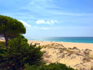 Photo sur Plexiglas Plage de Bolonia, Tarifa, Espagne view towards the beautiful beach Playa de Bolonia at the Atlantic Ocean through pines at the Costa de la Luz, Andalusia, Cadiz, Spain