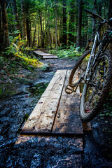 Mountain bike on muddy wooden plank in New Hampshire surrounded by mud on a single-track trail in...