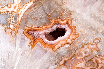 agate, quartz geode in petrified wood photography. macro detail texture. close-up polished...