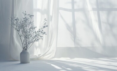Elegant white vase with delicate dry flowers basking in the soft sunlight through sheer curtains