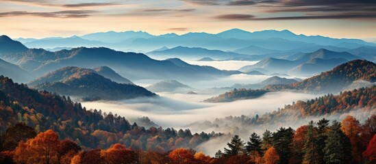 autumn view of mountains with colorful forest, isolated at sunrise