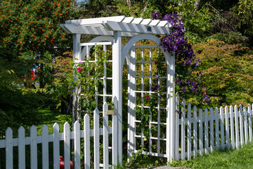 A white wooden archway and white wood picket fence surround a garden. There's a colorful purple...