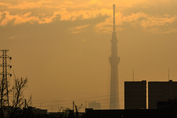 Fototapeta premium A beautiful Tokyo sky tree in the evening.At Edogawa riverbed, Matsudo, Chiba, Japan, photo by December 16, 2023. 
