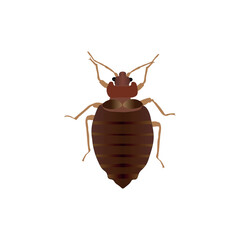 Draw to bugs insect. Vector illustration.