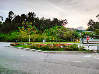 Obraz premium Enchanting Roadscapes: Serenity Meets Adventure on Curvy Tree-Lined Paths on the divider of the road
