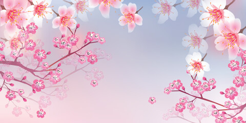 桜　梅　春　風景　背景	