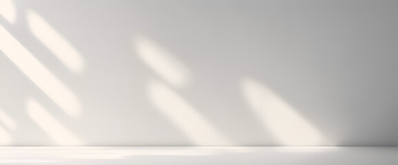 Minimalist Harmony: Abstract Sunlit Shadows on a Surface | Black and White Template for Elegant Modern Design and Overlay Effects.