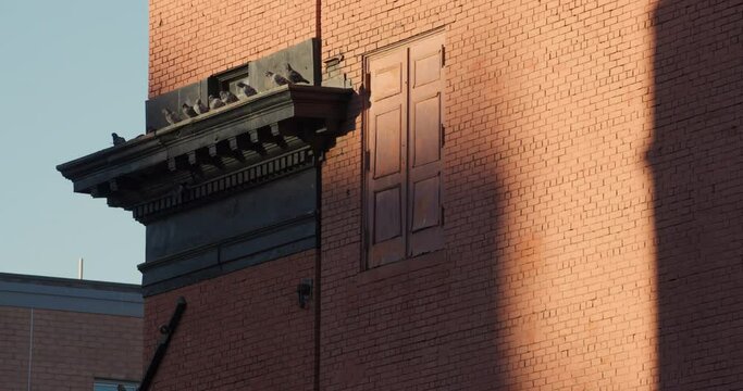 Heavy Shadows Forming in Afternoon on Brick Building with Pigeons on Ledge