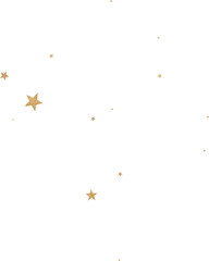 Gold Glitter Constellation