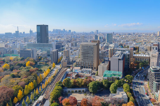 Nov 30 2023 the cityscape of the Bunkyo ku, japan