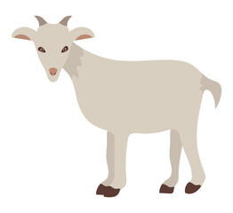 cute goat illustration