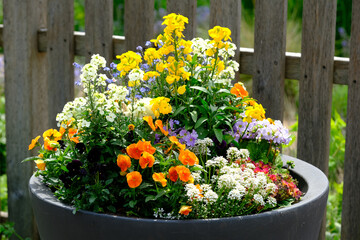 Fototapeta na wymiar Berlin Germany - Gardens of the World - Seasonal flower container