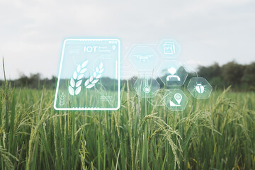 Using technology in agriculture, smart farm technology helps farmers take care of their...