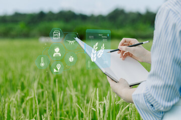 Rice research using new innovations, smart farm technology helps farmers take care of their crops...