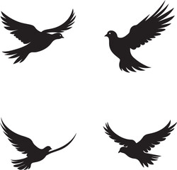 Set of Dove silhouette flying on white background