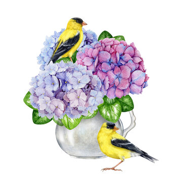 Bouquet cut flowers in a white porcelain jug with goldfinch birds decor. Watercolor illustration. Hand painted hydrangea garden flowers in a white vase with couple of goldfinches. White background