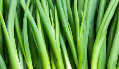 fresh green onions
