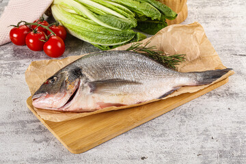 Raw dorada fish served rosemary