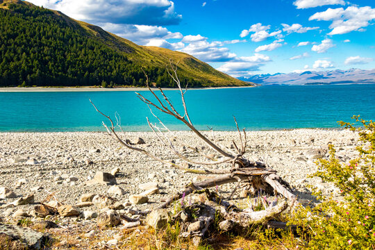 beach with treesVista de los montes antes de llegar al lago Tekapo, Nueva Zelanda
Punto panaramico Geraldine Fairlie, vista de las monta&ntilde;as oby (2222 m); Pico Braun Elwert (2.086 m); Dobson Peak (2095