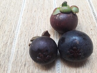 Fresh mangosteen fruit isolated on twig background, copy space