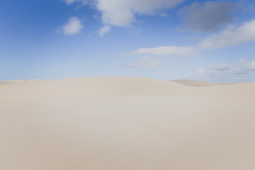 Fototapeta na wymiar Sand dunes in Port Stephens