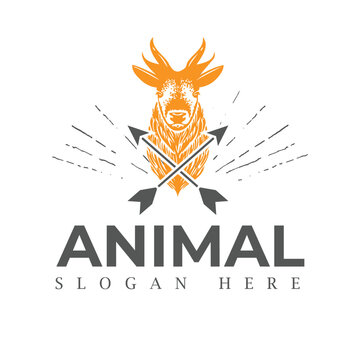 Animal logo design vector template