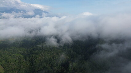fog in the mountains