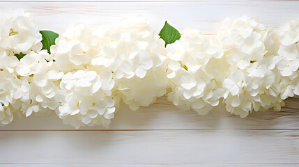 White hydrangea flowers on a white wooden background