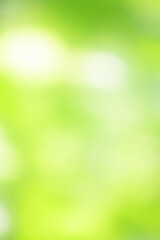 Obraz premium The green leaves are softly blurred. selective focus, Abstract green blurred soft nature background.