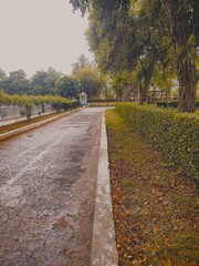 Autumn's Melody: Rain-Kissed Journey Through Nature's Tapestry