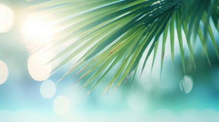 Fototapeta na wymiar Green palm leaf on blurred background with bokeh effect. Summer concept.