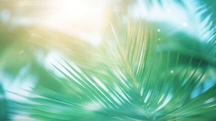Green palm leaf on blurred background with bokeh. Summer concept.
