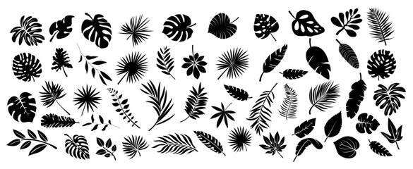 Obrazy na Plexi  Set of black silhouettes of tropical leaves palms, trees. Vector
