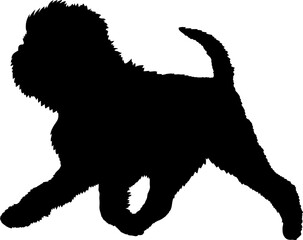 Dog Affenpinscher runs silhouette Breeds Bundle Dogs on the move. Dogs in different poses.
The dog jumps, the dog runs. The dog is sitting. The dog is lying down. The dog is playing
