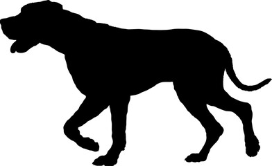 Dog Great Dane silhouette Breeds Bundle Dogs on the move. Dogs in different poses.
The dog jumps, the dog runs. The dog is sitting. The dog is lying down. The dog is playing
