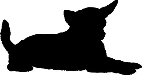 Dog Chihuahua lies silhouette Breeds Bundle Dogs on the move. Dogs in different poses.
The dog jumps, the dog runs. The dog is sitting. The dog is lying down. The dog is playing
