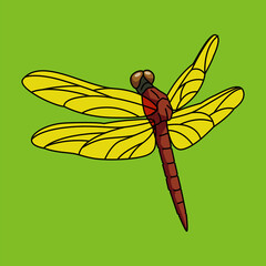 トンボ（Dragonfly）