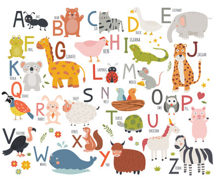 Alphabet vocabulary A to Z with cute animal hand drawn vector illustration for preschool education