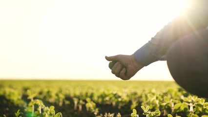 farmer holds soil field hand. Agriculture. farmer holding soil field hand symbolizes work,...