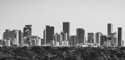 city skyline in winter miami Florida