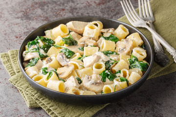 Delicious mezze maniche pasta with chicken, champignon mushrooms, garlic and spinach in creamy cheese sauce close-up in a plate on the table. Horizontal
